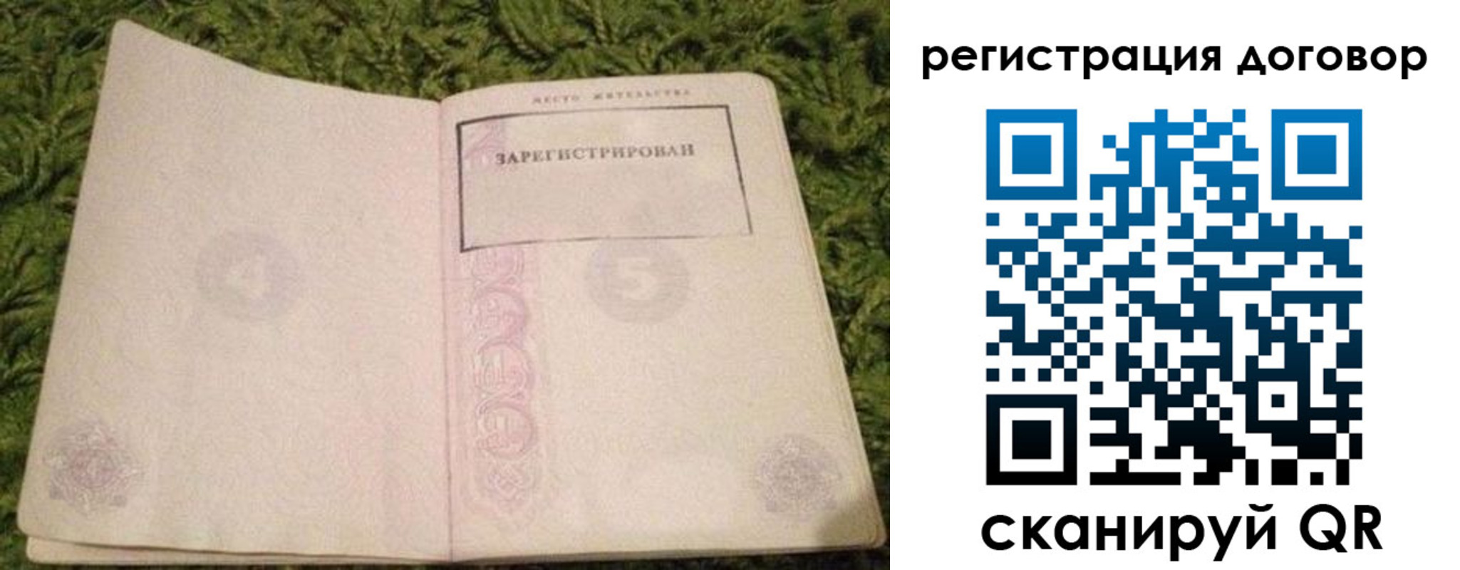 прописка регистрация в Тосно